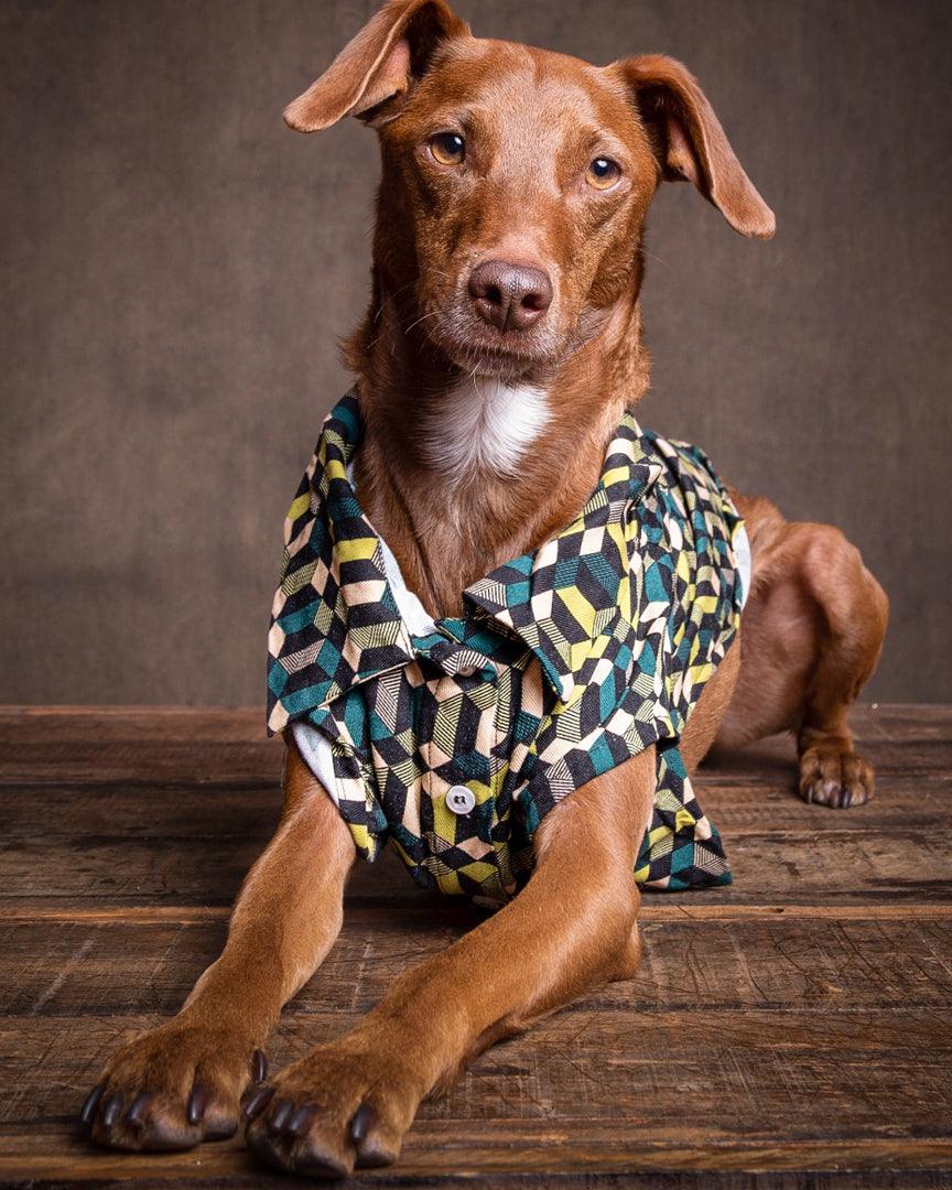 CAMISA LEMON PEPPER - Myklo And Pet