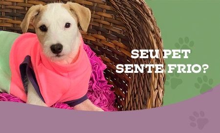 ❄ Seu Pet Sente Frio?