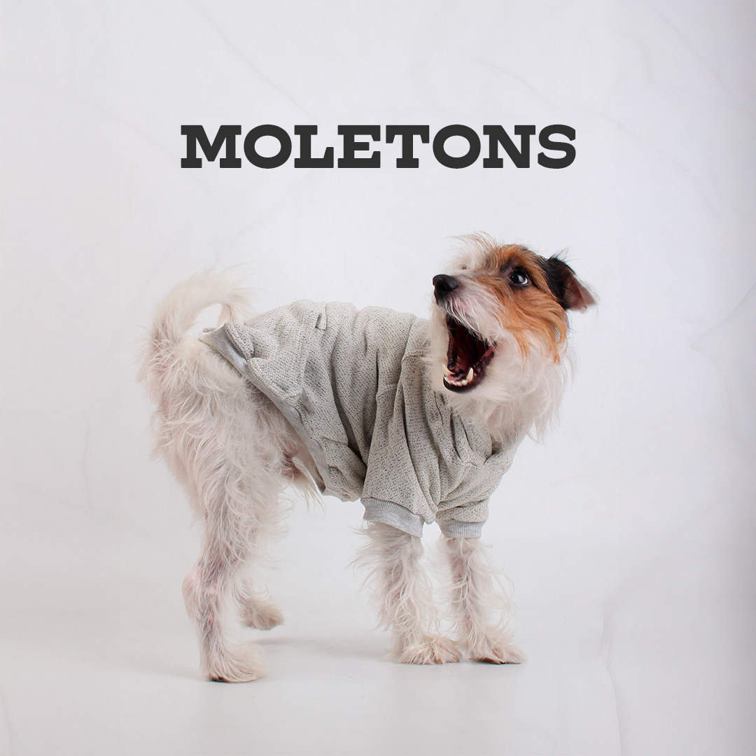 Moletons - Myklo And Pet