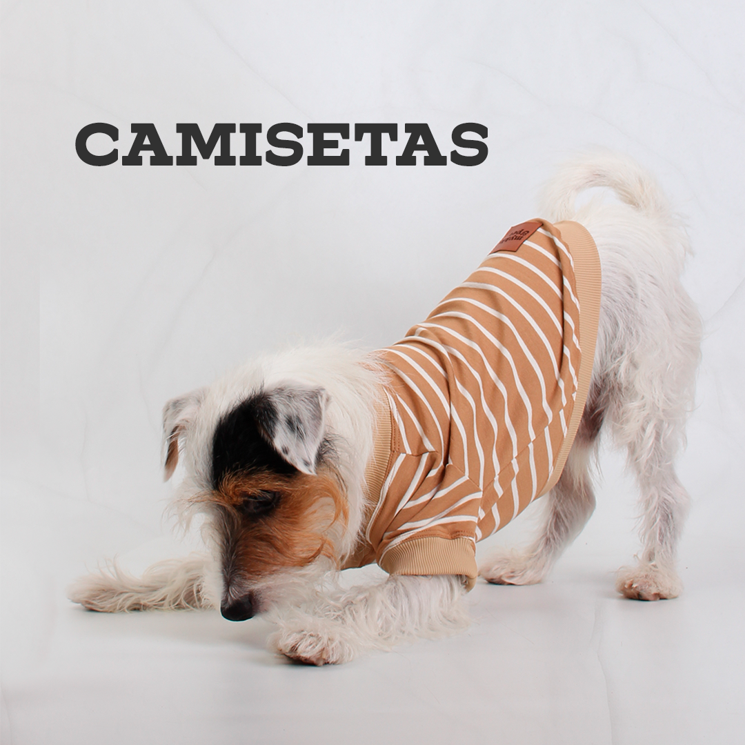 Camisetas Pet - Myklo And Pet