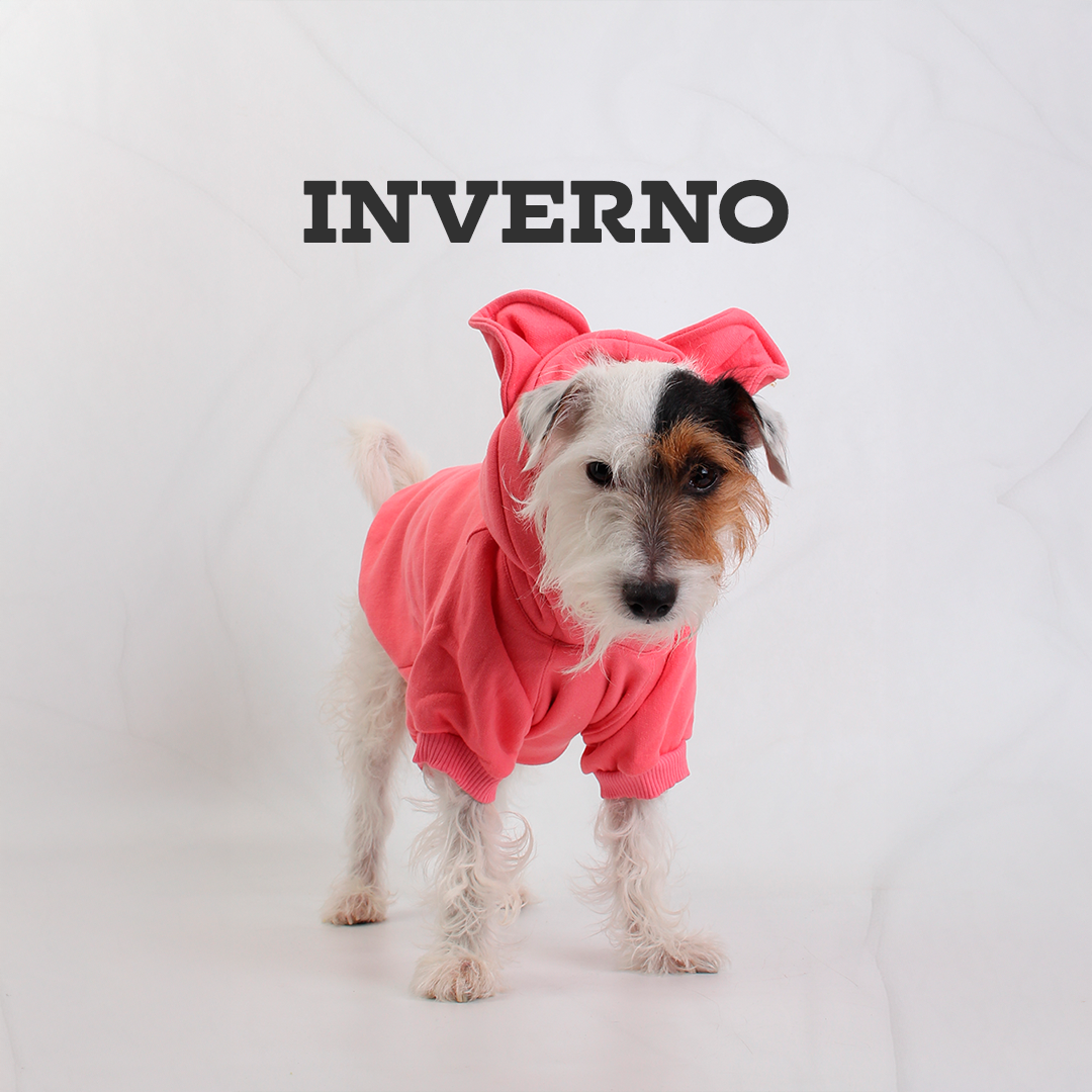 Inverno