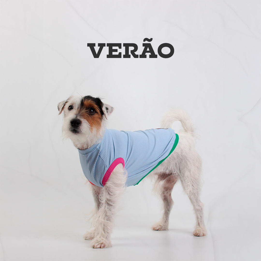 Itens de Verão para Pets