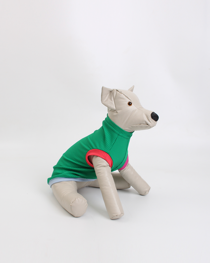 REGATA PARA PET COM PROTEÇÃO UV VERDE MARINA PARA PET
