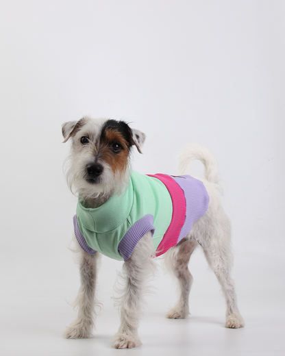 CACHORREL PARA PET STEVE DOGS ECHO COLORS