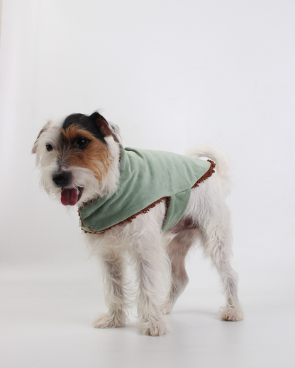 COLETE PARA PET TEDDY JOY