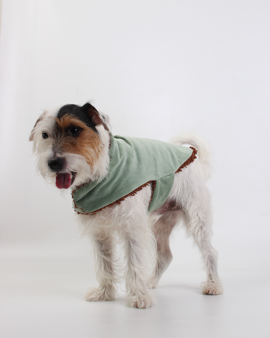 COLETE PARA PET TEDDY JOY