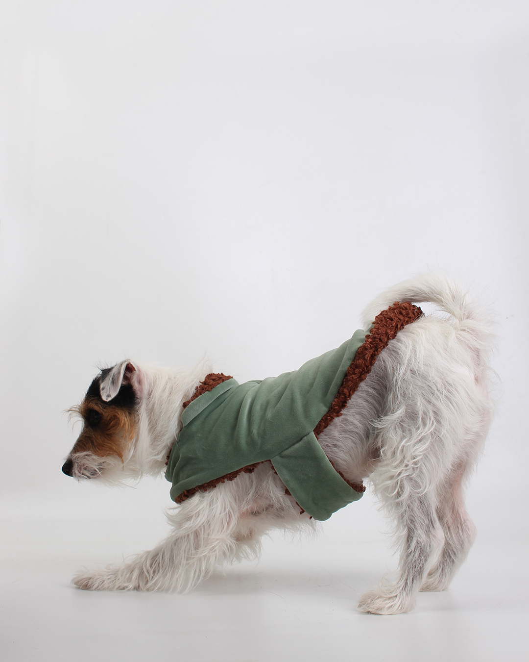 COLETE PARA PET TEDDY JOY
