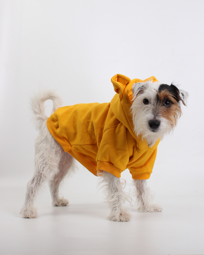 MOLETOM PARA PET URSO AMARELO POOH
