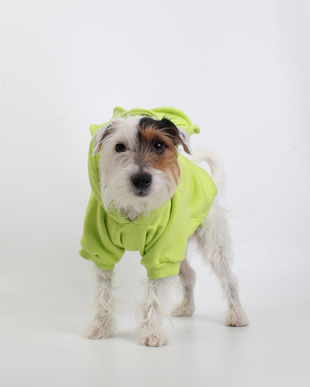 MOLETOM PARA PET URSO VERDE MAÇÃ