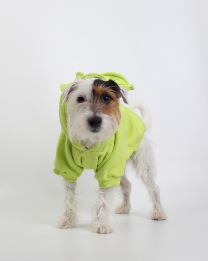 MOLETOM PARA PET URSO VERDE MAÇÃ