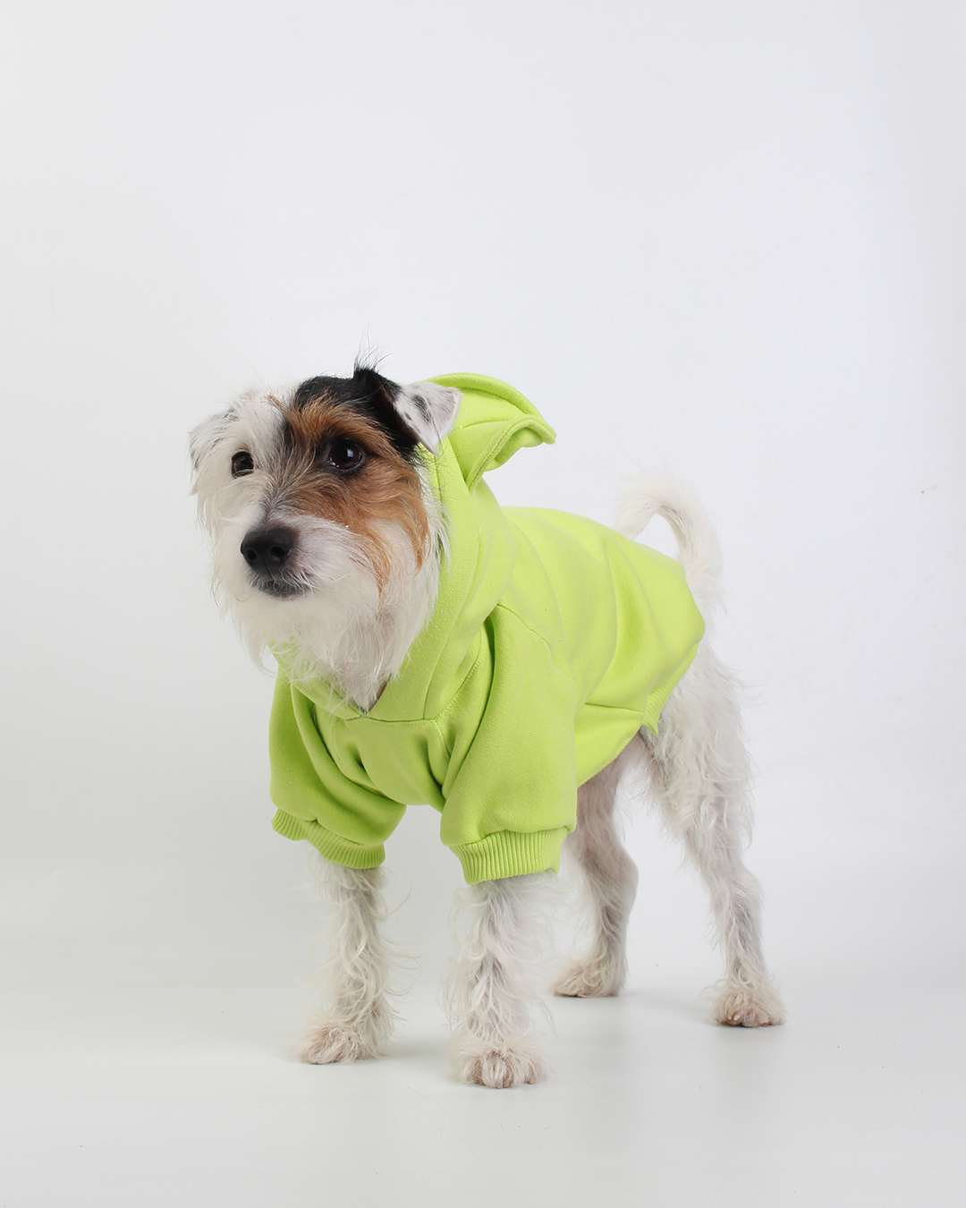 MOLETOM PARA PET URSO VERDE MAÇÃ