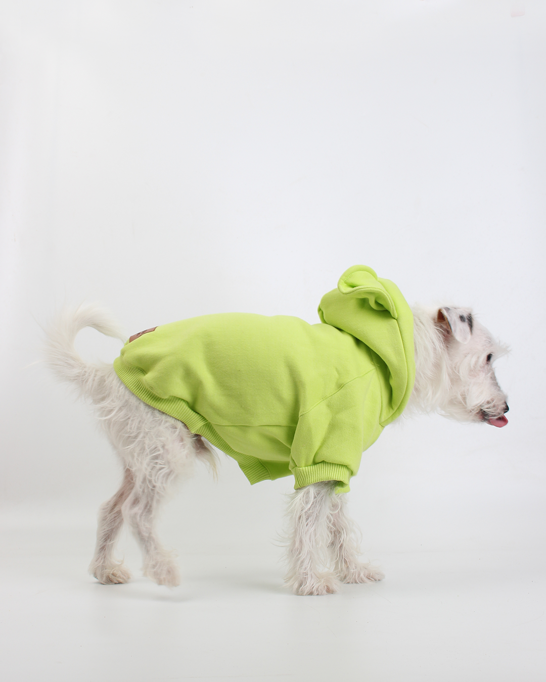MOLETOM PARA PET URSO VERDE MAÇÃ