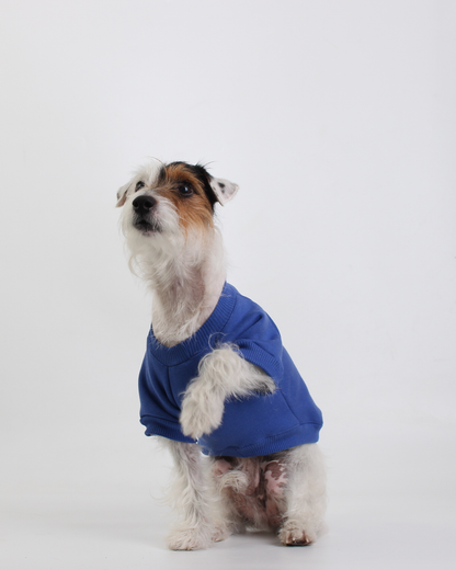MOLETOM PARA PET BLUE JACK