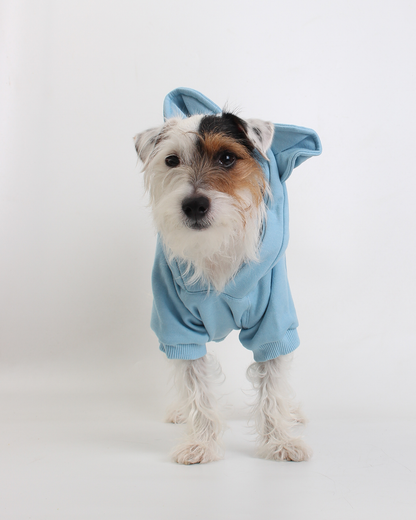 MOLETOM PARA PET URSO AZUL NUVEM