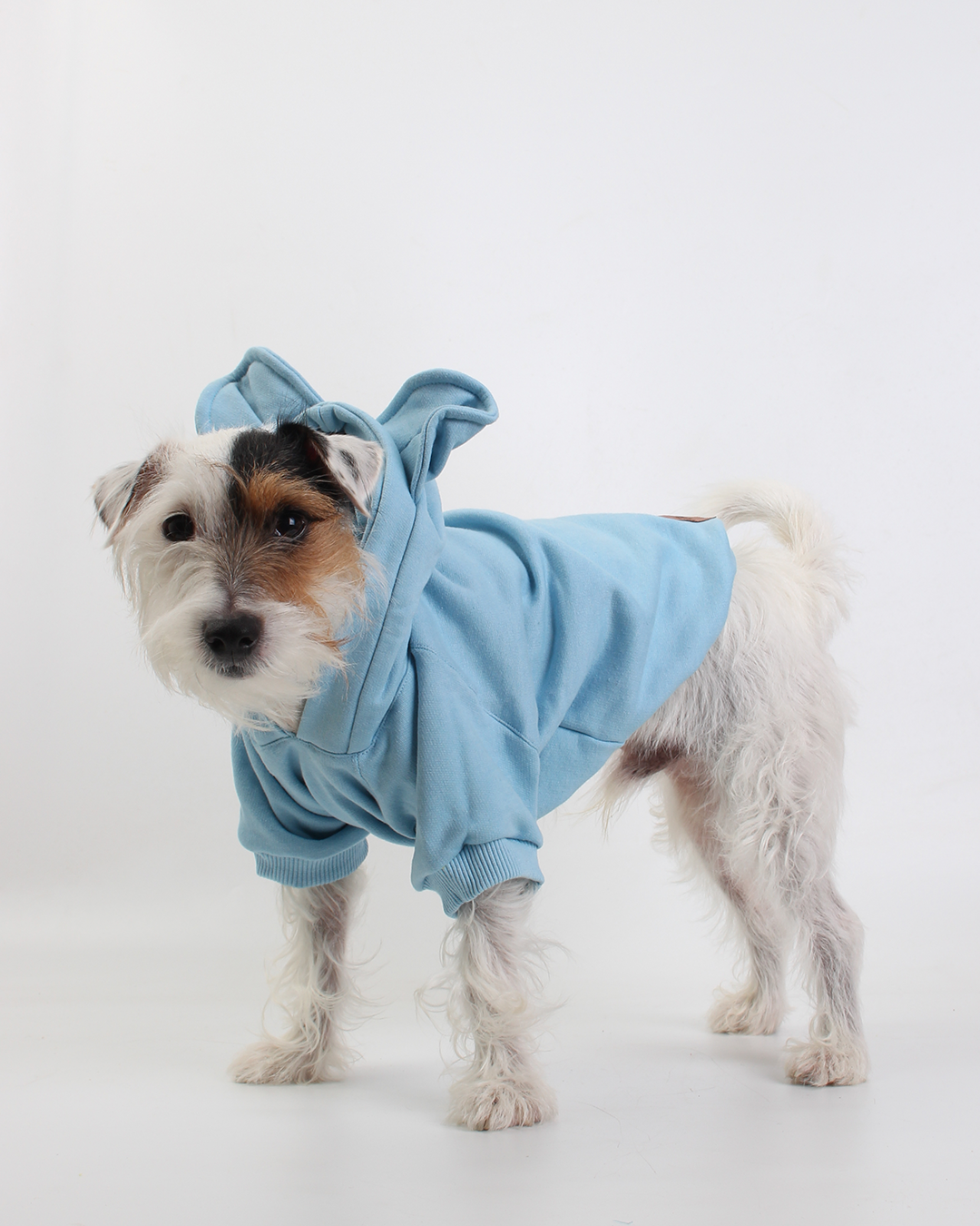 MOLETOM PARA PET URSO AZUL NUVEM