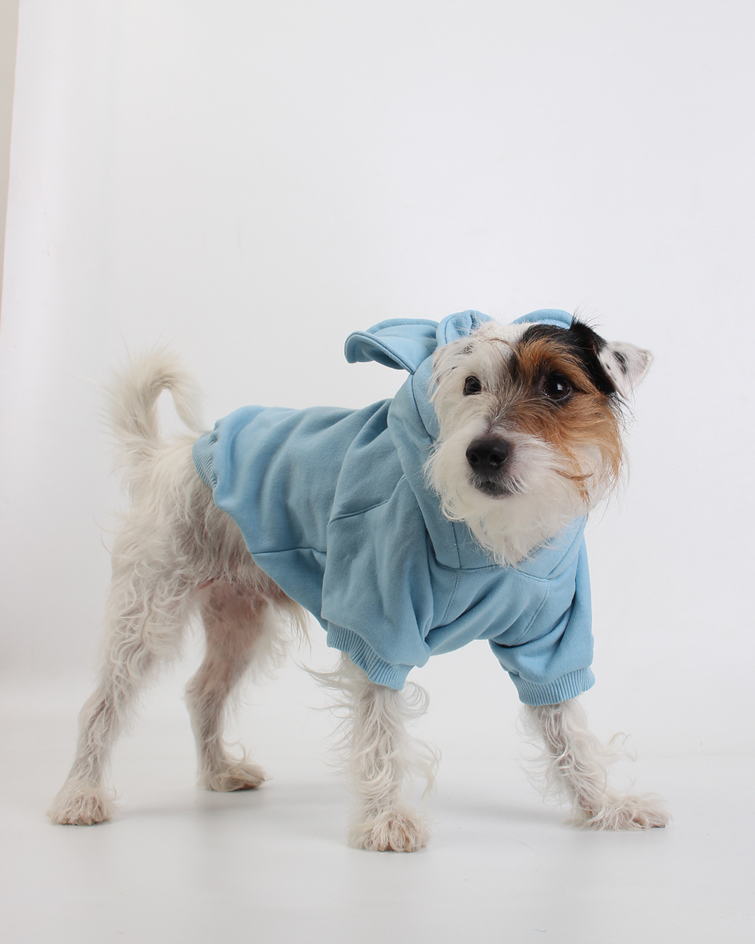 MOLETOM PARA PET URSO AZUL NUVEM