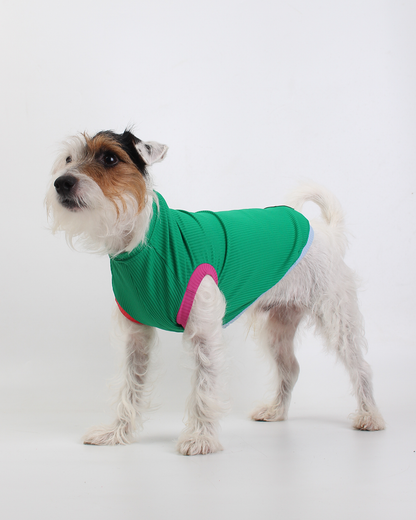 REGATA PARA PET COM PROTEÇÃO UV VERDE MARINA PARA PET