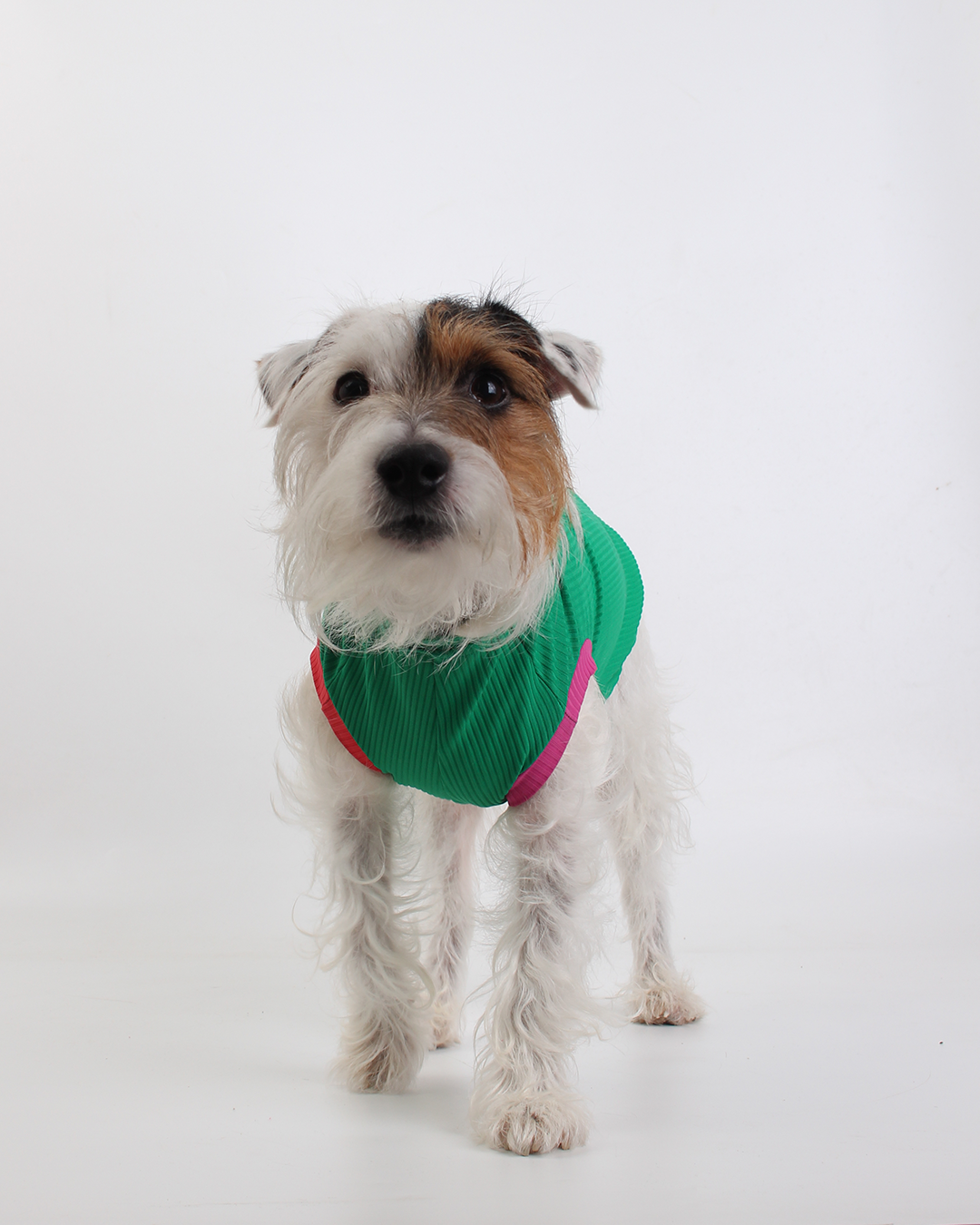 REGATA PARA PET COM PROTEÇÃO UV VERDE MARINA PARA PET