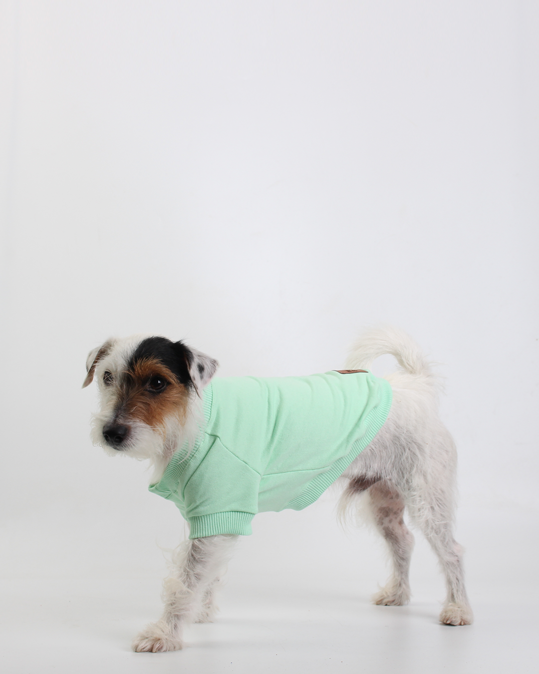 MOLETOM PARA PET VERDE LEELOO