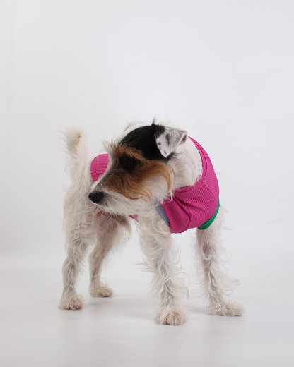 REGATA PARA PET COM PROTEÇÃO UV ROSA AURORA PARA PET