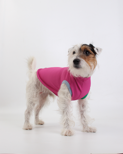 REGATA PARA PET COM PROTEÇÃO UV ROSA AURORA PARA PET