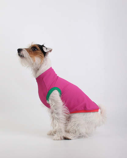 REGATA PARA PET COM PROTEÇÃO UV ROSA AURORA PARA PET