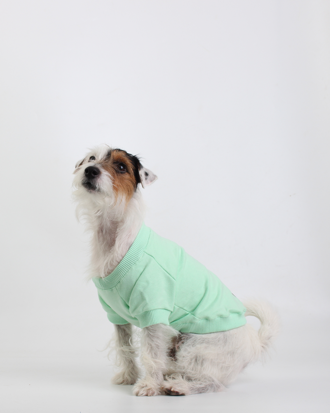MOLETOM PARA PET VERDE LEELOO