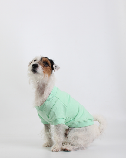 MOLETOM PARA PET VERDE LEELOO