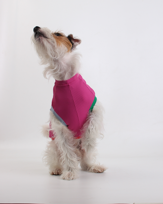 REGATA PARA PET COM PROTEÇÃO UV ROSA AURORA PARA PET