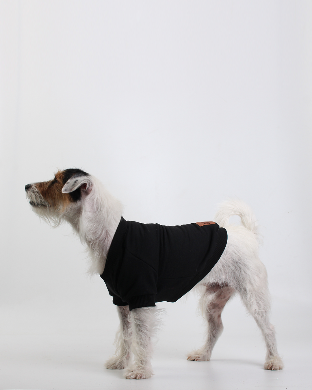 MOLETOM PARA PET OZZY