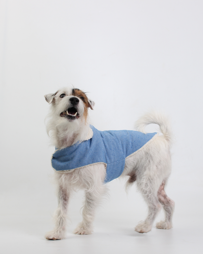 COLETE PARA PET SHEEP COTTON