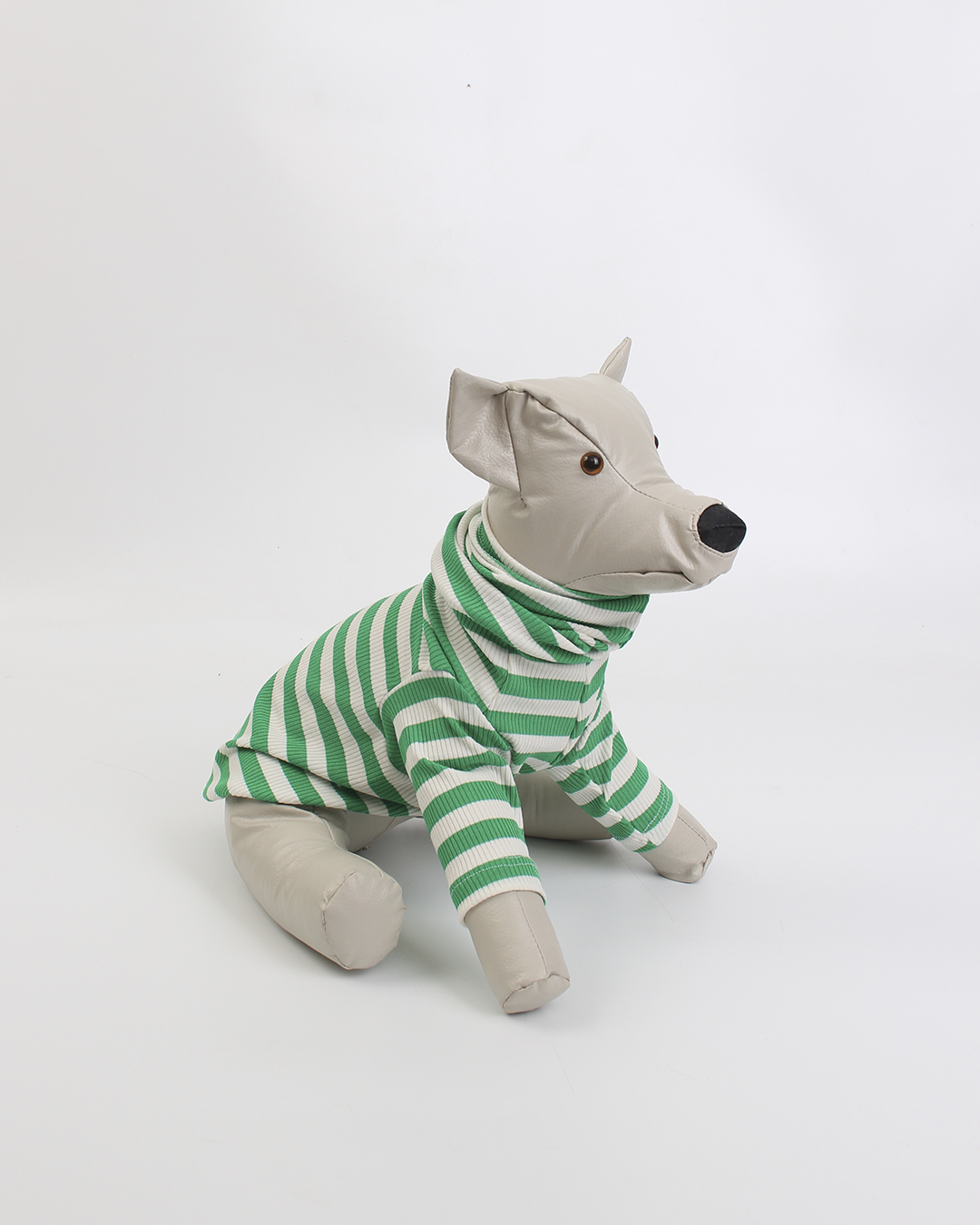CACHORREL PARA PET PALESTRA