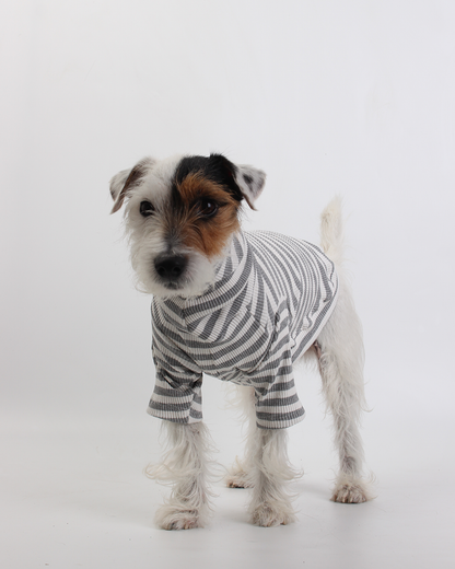 CACHORREL PARA PET LISTRADA CINZA MESCLA COOL