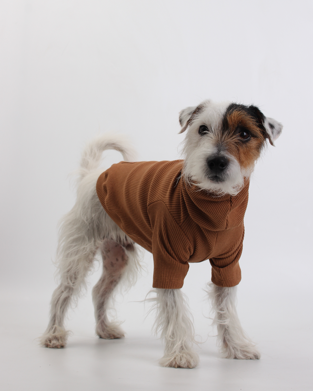 CACHORREL PARA PET MARROM BOMBOM