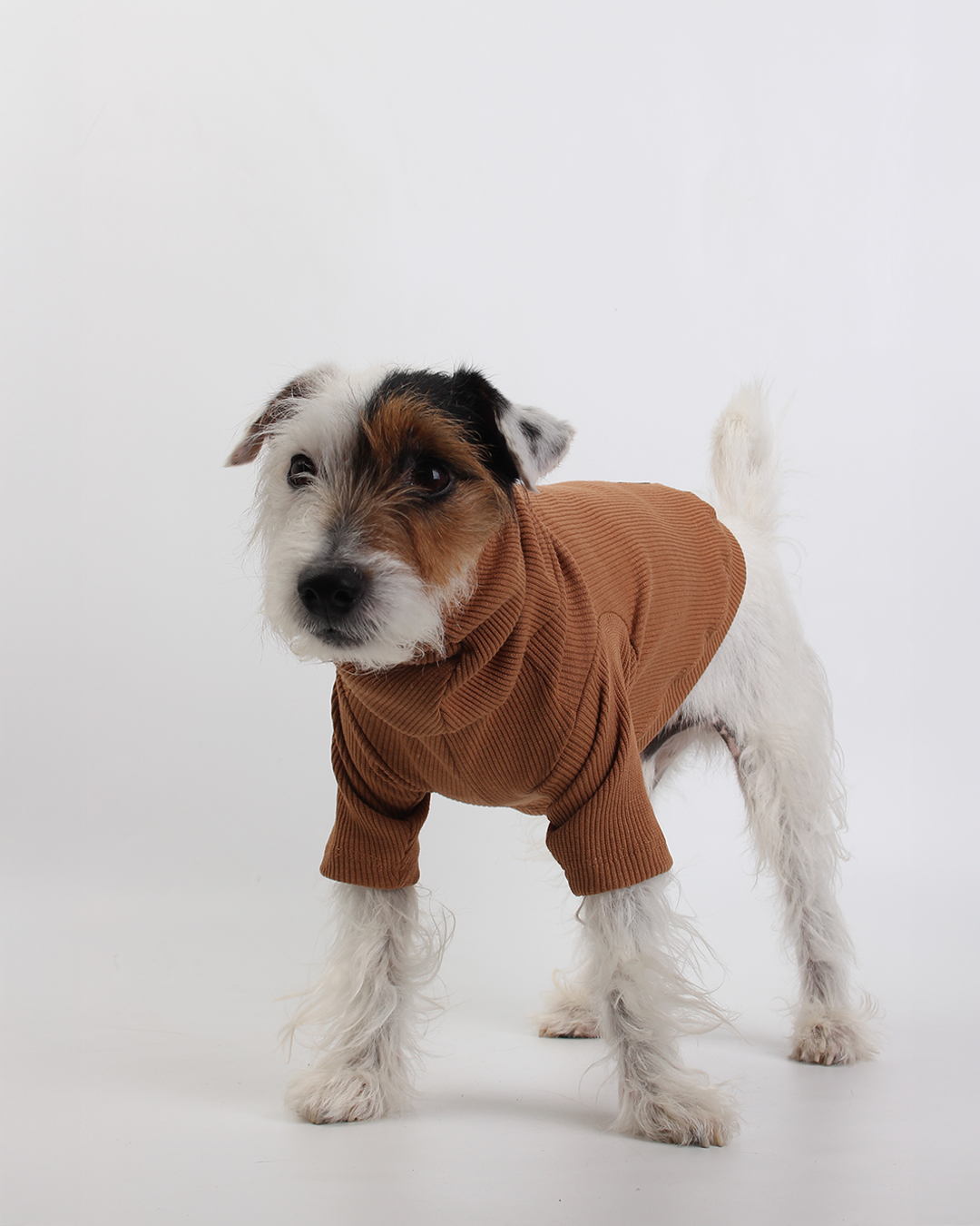 CACHORREL PARA PET MARROM BOMBOM