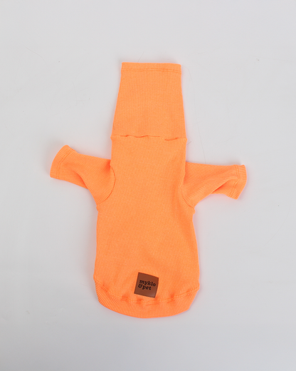 CACHORREL PARA PET TANGERINA POCAN