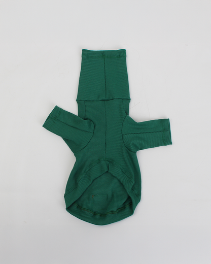 CACHORREL PARA PET VERDE BRÓCOLIS