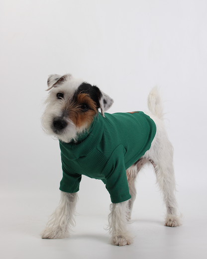 CACHORREL PARA PET VERDE BRÓCOLIS