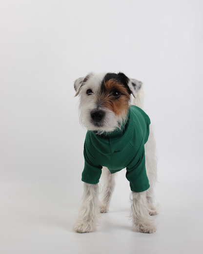 CACHORREL PARA PET VERDE BRÓCOLIS