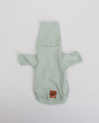 CACHORREL PARA PET VERDE MENTA