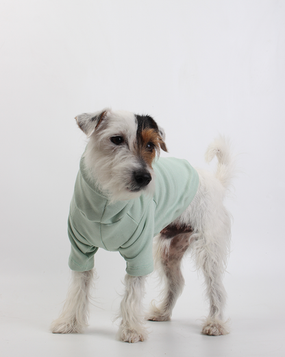 CACHORREL PARA PET VERDE MENTA