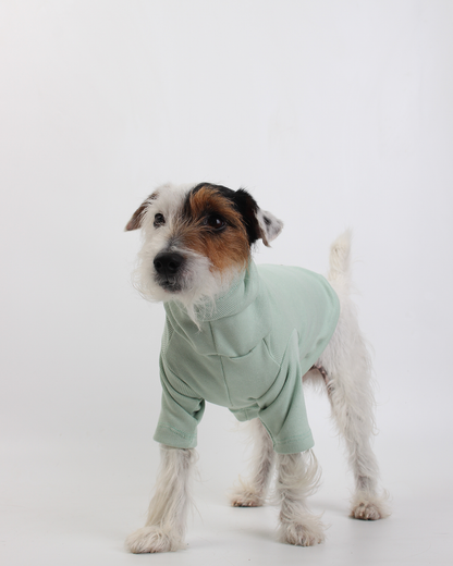 CACHORREL PARA PET VERDE MENTA