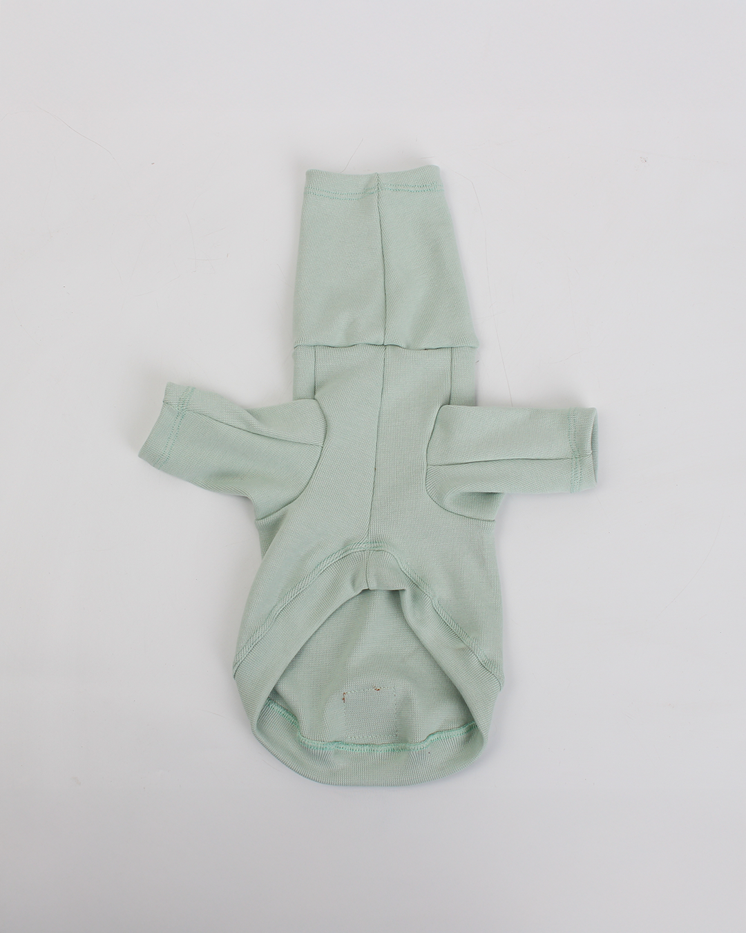 CACHORREL PARA PET VERDE MENTA