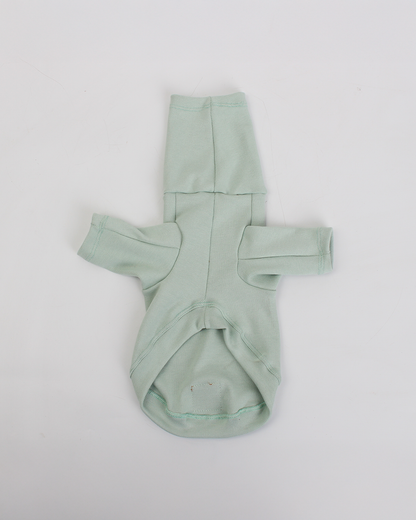 CACHORREL PARA PET VERDE MENTA