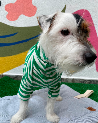 CACHORREL PARA PET PALESTRA