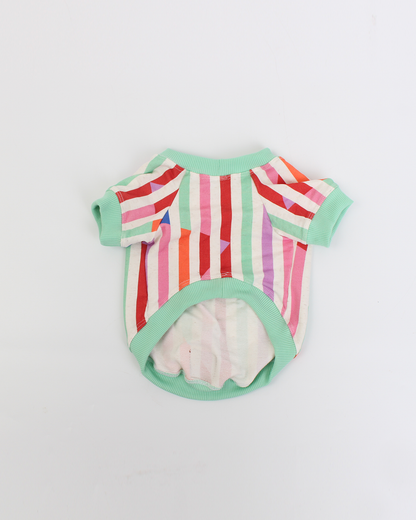MOLETINHO PARA PET STRIPE & COLORS