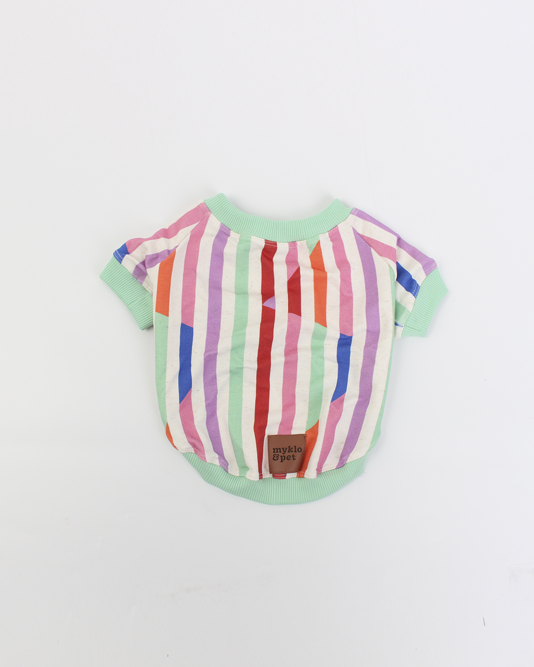 MOLETINHO PARA PET STRIPE & COLORS