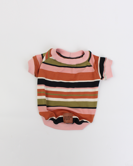CAMISETA PARA PET SEBASTIAN