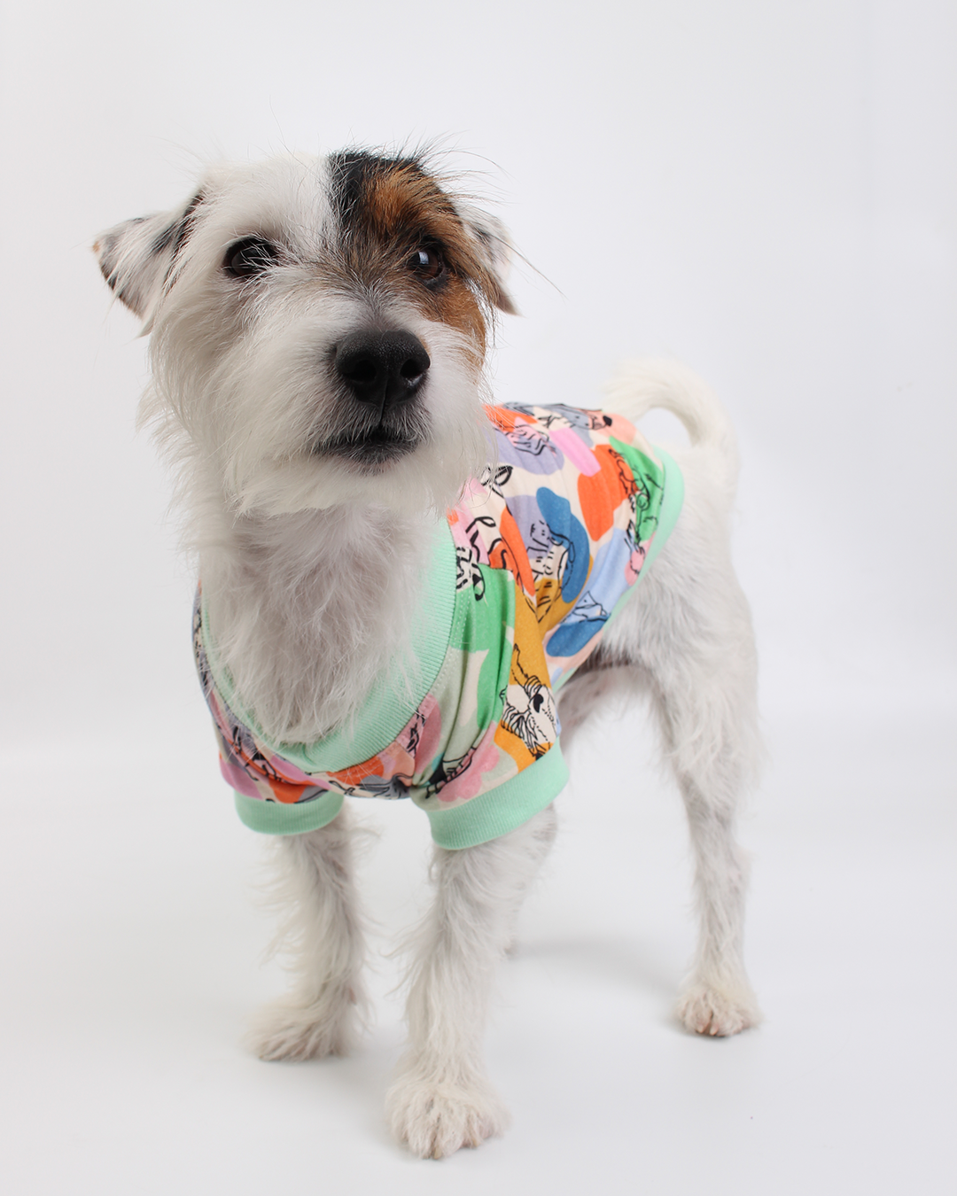 CAMISETA PARA PET MATISSE IN DOGS