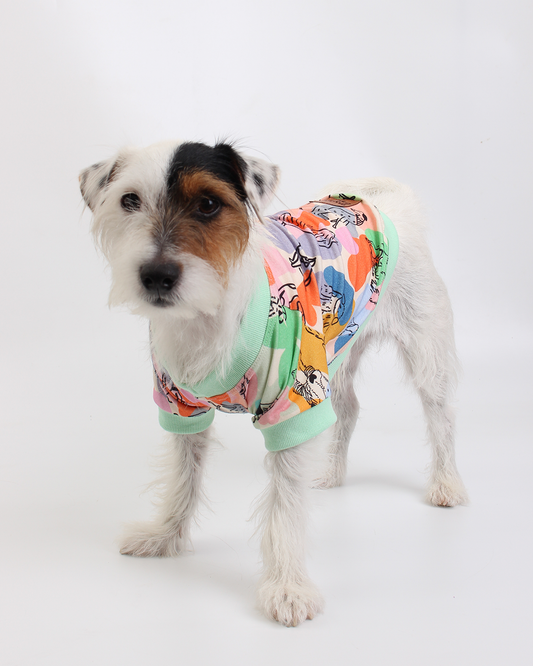 CAMISETA PARA PET MATISSE IN DOGS